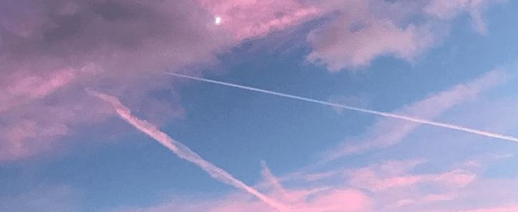 Catch up: January 2021