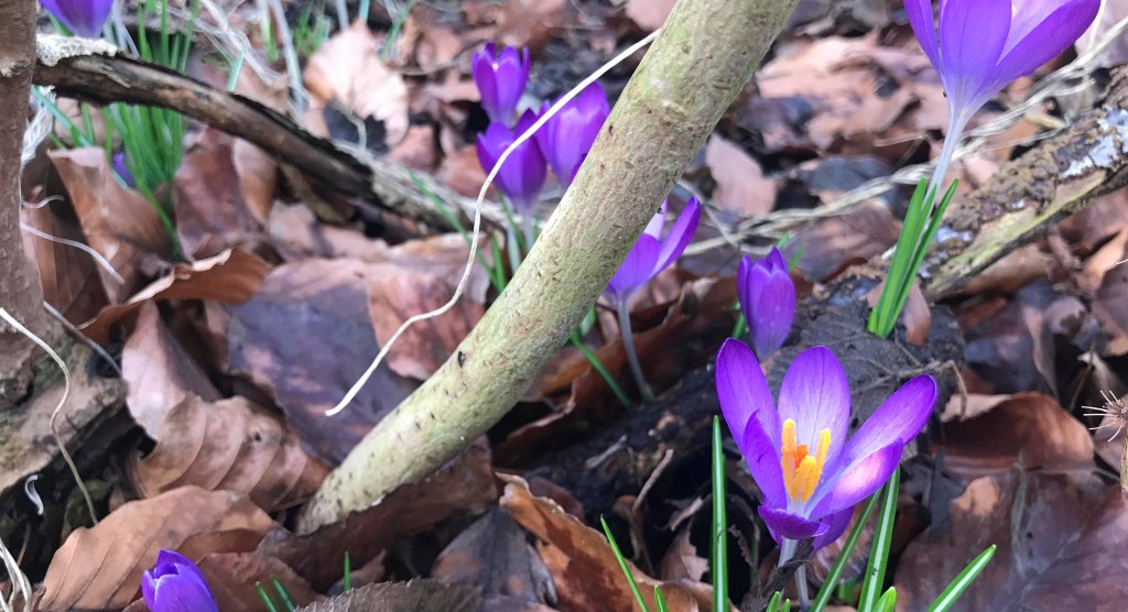 Catch Up: March 2021